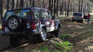 Große Fläming Tour - Jeep im Wald